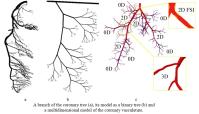 Multiscale_coronary