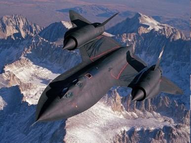blackbird