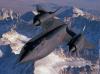 blackbird